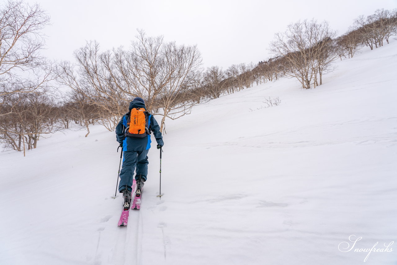 大雪山層雲峡・黒岳ロープウェイスキー場　本日の積雪 310cm。神々の遊ぶ庭でのんびり春スキー＆スノーボードを楽しみましょう♪